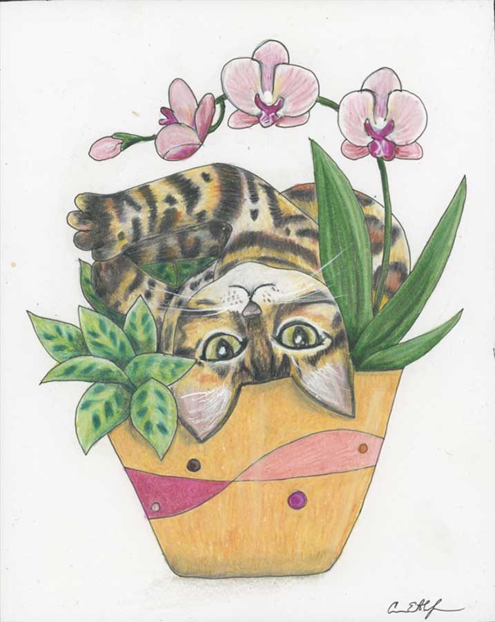 I'm SO Adorable, 8" x 10", colored pencil
