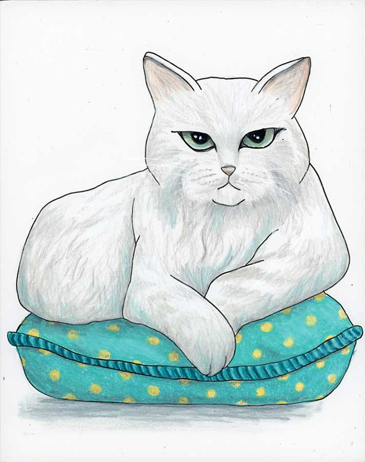 Yes, I Am Judging You, 8" x 10", colored pencil