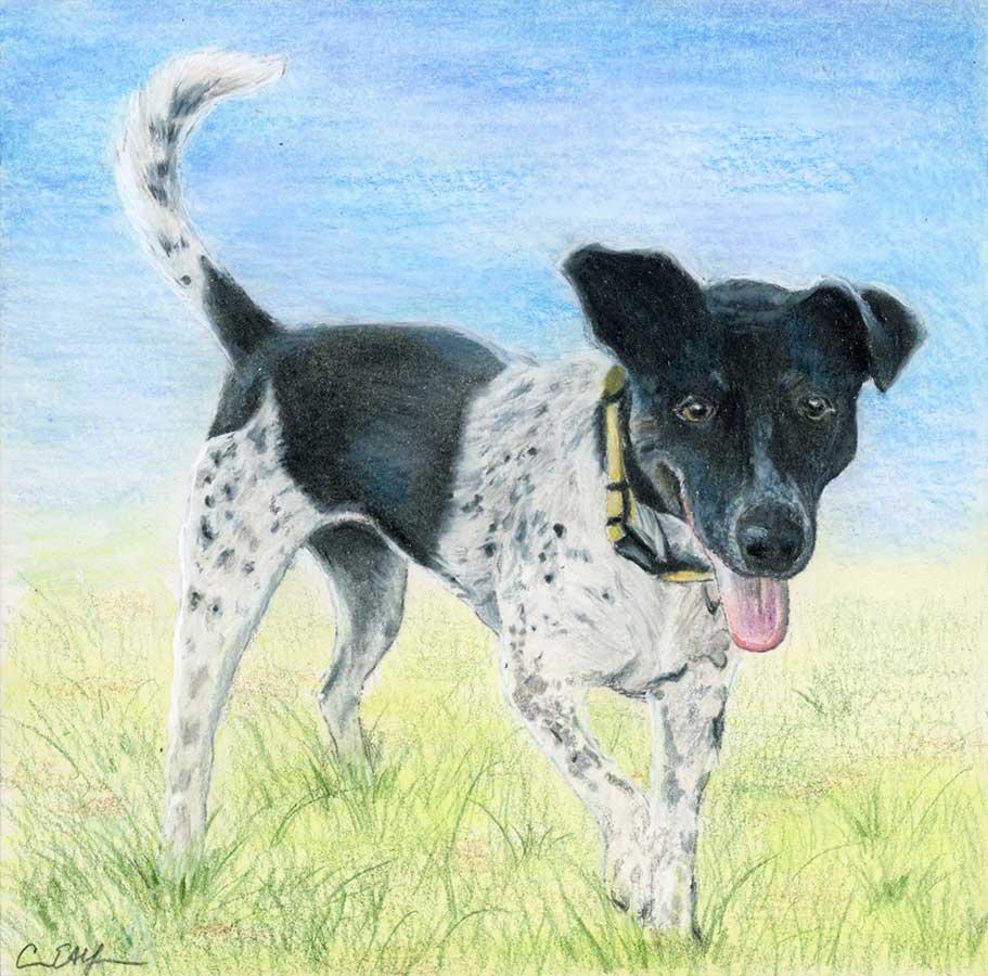 SOLD - Mazie, 6" x 6", mixed media