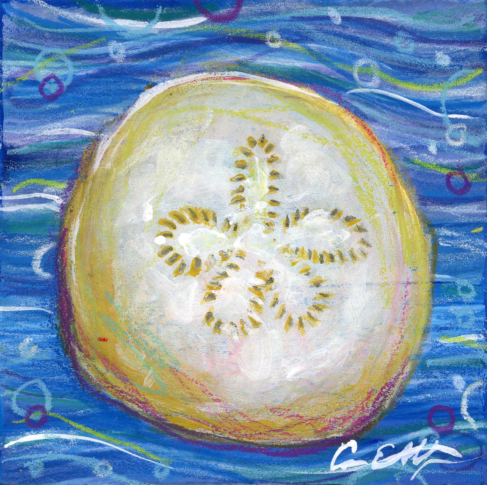 SOLD - Sweet Sand Dollar