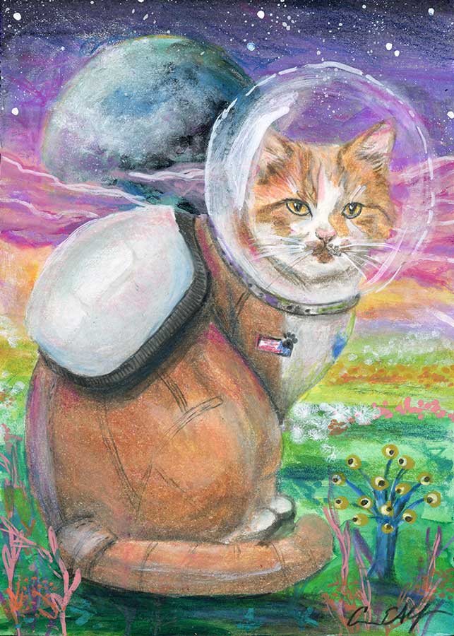 Tabby Explorer, 5" x 7", mixed media