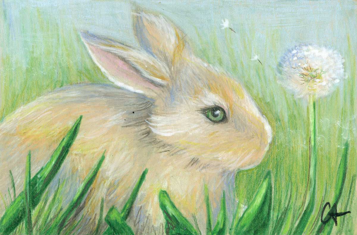 SOLD - Wishes