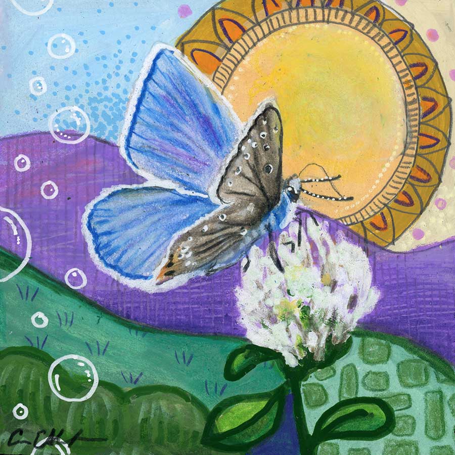 Ceraunus Blue, 4" x 4", mixed media